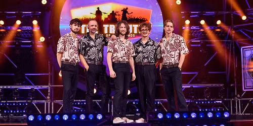 Beach Boys Best | Nobel (UITVERKOCHT)