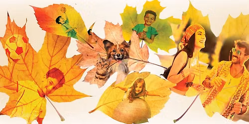 Shadelands Fall Fest