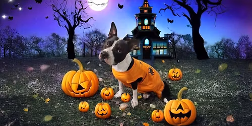 Halloween Lodging Party