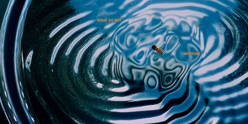 What So Not in Pensacola