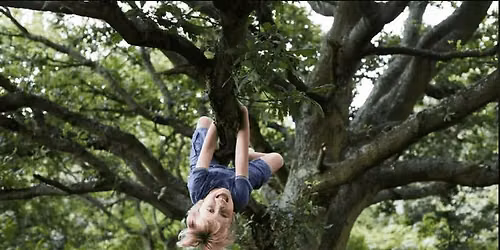 Wild About Safety