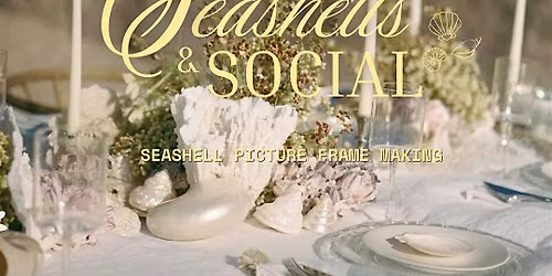 Seashells & Social : Shell Picture Frame Decorating