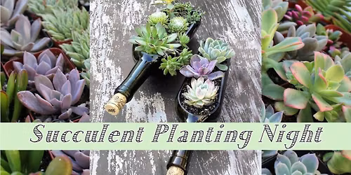 Succulent Planting Night