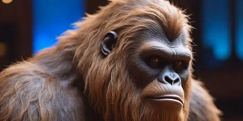 Cub Country @ Hickory Vines Winery