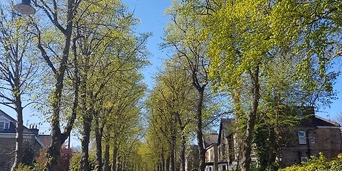 Everything About Ponds By Scarlett from Sheffield & Rotherham Wildlife Trust