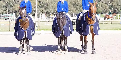 Metro Zone Quadrathon