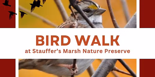Bird Walk at Stauffer’s Marsh Nature Preserve
