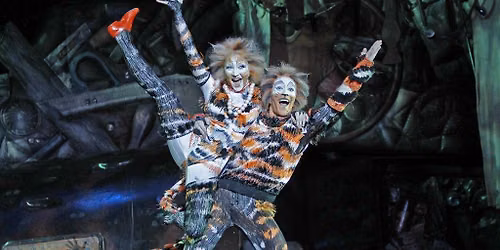 Cats - New York