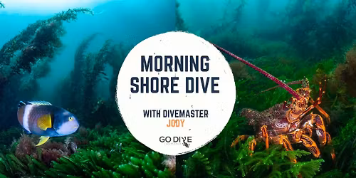 Morning Shore Dive, Blackman's Bay South - With Divemaster Jody
