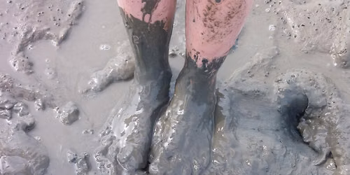 International Mud Day 2026