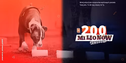 Zawody Nosework Polska z NoseWorld w Rybacz\u00f3wce