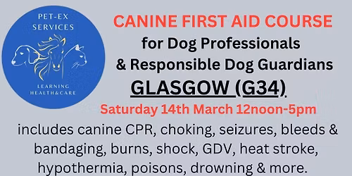 Glasgow 14.3.26 Canine First Aid Course