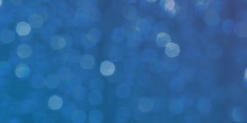 A Magical Cirque Christmas*