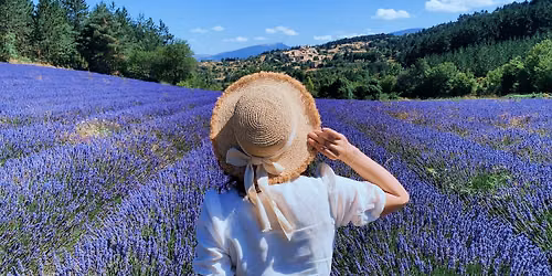 Her Pages in Provence (Write-cation)