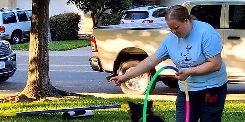 Dog Trick Class $200.00