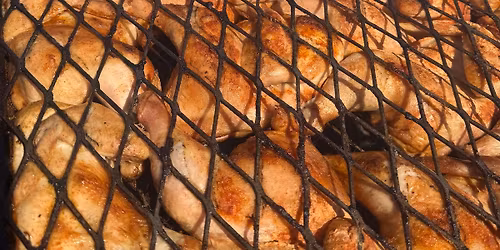 Outdoor Pig Roast & Chicken BBQ
