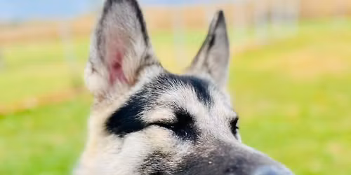 Green Bay Area Open Meet and Greet!