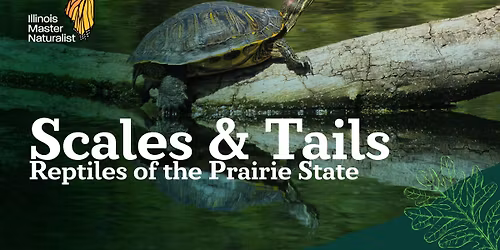 Scales & Tails: Reptiles of the Prairie State
