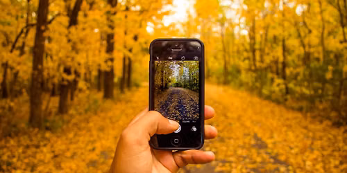 Phone Photography 2 Workshop 