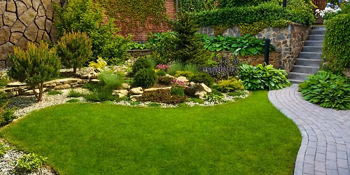 Landscape Design Basics