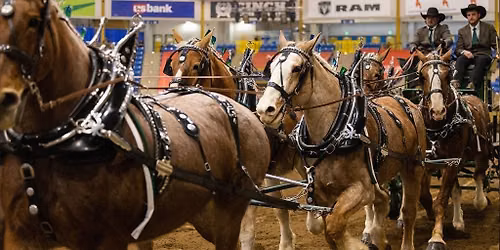 Draft Horse Show - Sun. Jan. 24 1pm