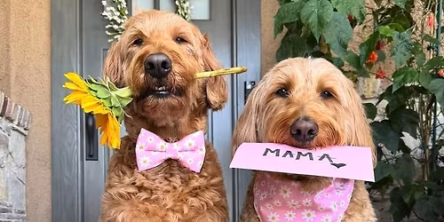 Mother\u2019s Day Bloom Bar \ud83c\udf38\ud83c\udf37