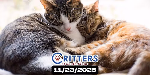 Friendsgiving Felines