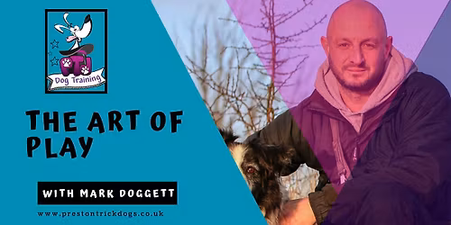 Mark Doggett - The Art of Play