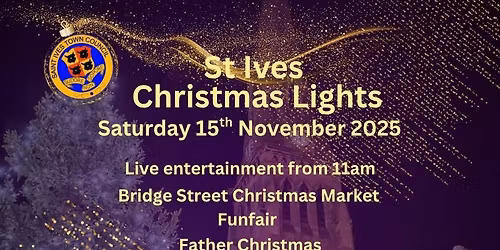 Christmas Market and Lights Switch On 