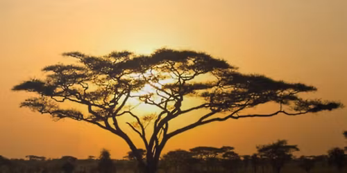 Atelier \u00ab mise en pratique des enseignements d\u2019Eckart Tolle \u00bb