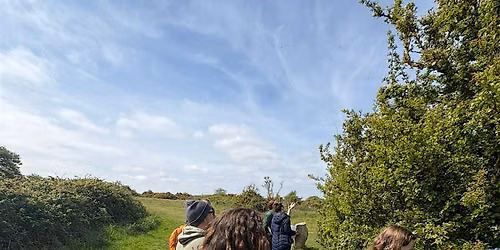 Foraging Folklore Walk