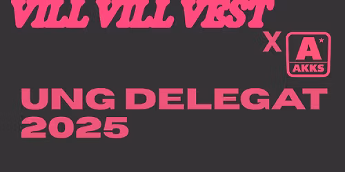 Ung Delegat p\u00e5 Vill Vill Vest 2025!