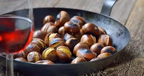 Festa de S\u00e3o Martinho