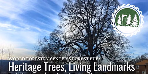 Forest Pub | Heritage Trees, Living Landmarks