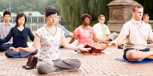Free qigong at the park