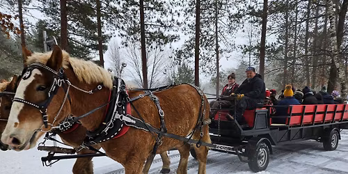 Winter Family Play Day