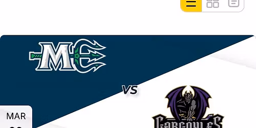 Hockey Game All Together ASL Section  