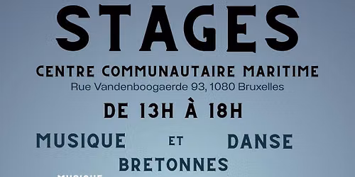 Stages de musique et de danses bretonnes !