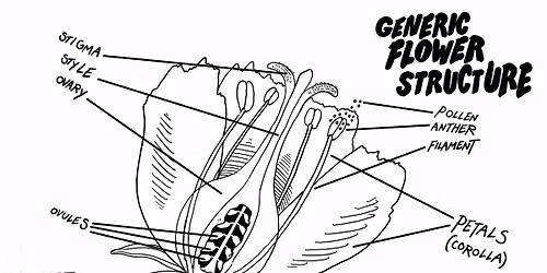 BOOK SIGNING\/ PLANT ID COURSE w\/Crime Pays But Botany Doesn't