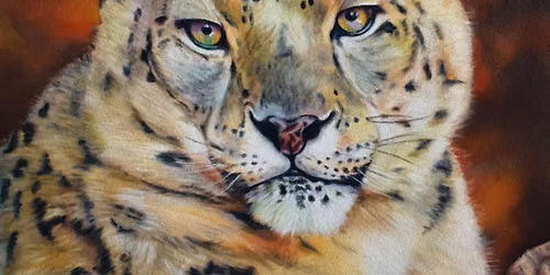 Create an amazing Snow Leopard in soft pastels with artist Paul Holmes: \u00a375