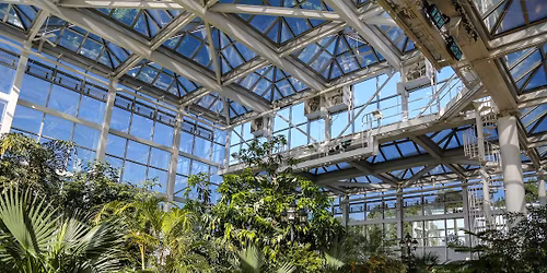 Chamber Music Athens: \u201cA Night of Jazz at the Botanical Garden\u201d