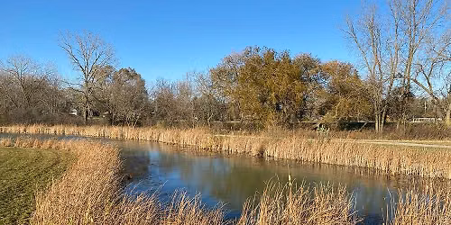 Walk in the Park: Abendschein Park