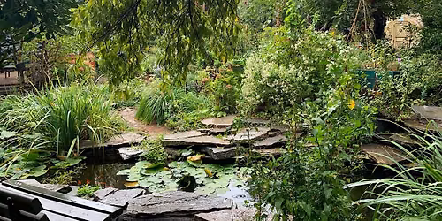 Climate Innovation & Community Garden Tours with LUNGS