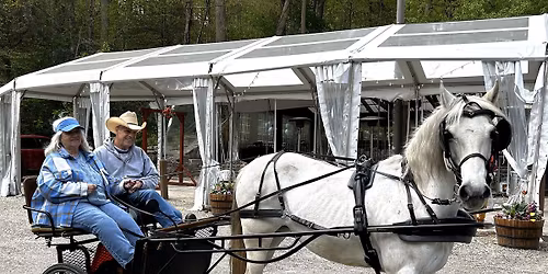 Wissahickon Day Parade