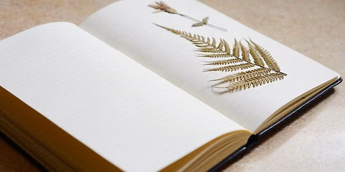 Yampa River Center Workshop: Nature Journaling