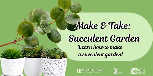 Make & Take: Succulent Garden
