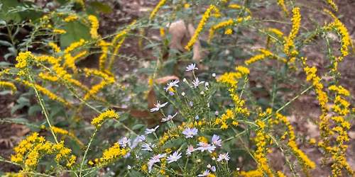 Winter Sowing Workshop