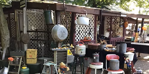 Antiques in the woods and vintage too