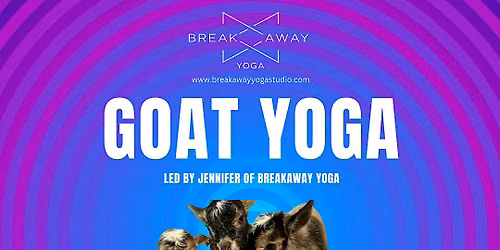 Goat Yoga at Manor Hill Brewing