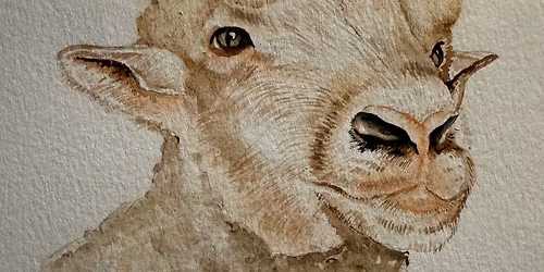 Watercolor Animals with Mary Pesch